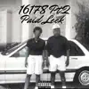 Paid Leek - 16178 Washburn Pt. 2